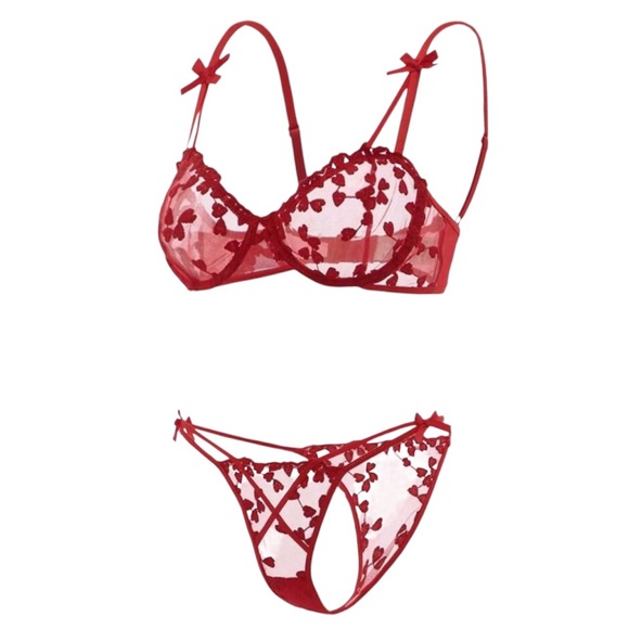 Embroidered Mesh Underwire Lingerie Set - Picture 4 of 7